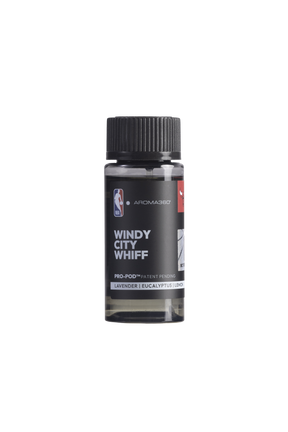 ريح المدينة العاصفة