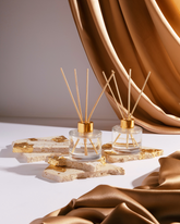 باريس كوليكشن ريد ديفيوزر ثنائي